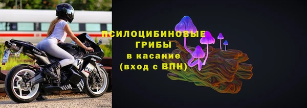 ПСИЛОЦИБИНОВЫЕ ГРИБЫ Алексеевка